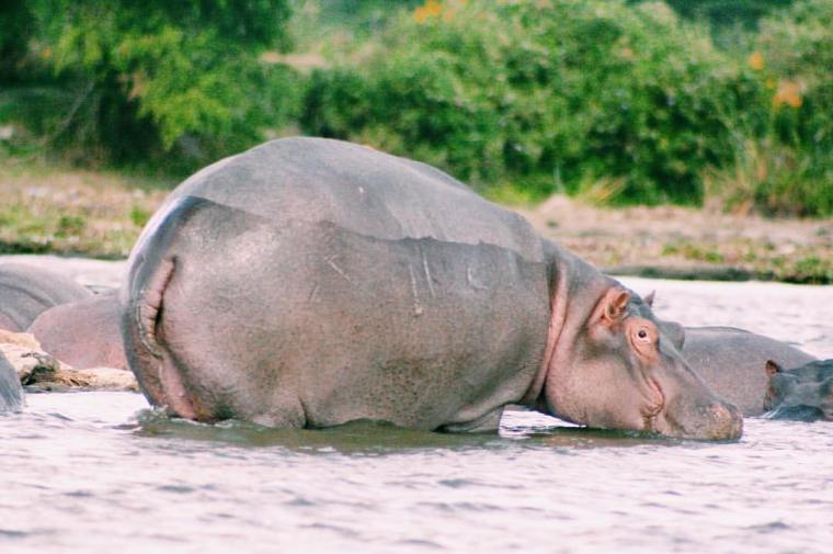 19025239_1210983549024677_1515448045514401559_o