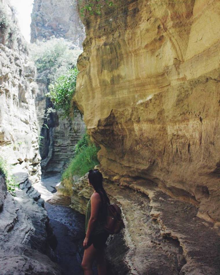 19029432_1210451912411174_4472216313225525953_n