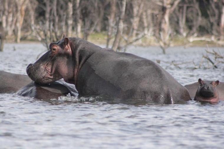 19095278_10211956944853435_7159369557819087327_o