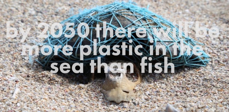 Screen Shot 2017-08-20 at 6.33.32 pm.jpg