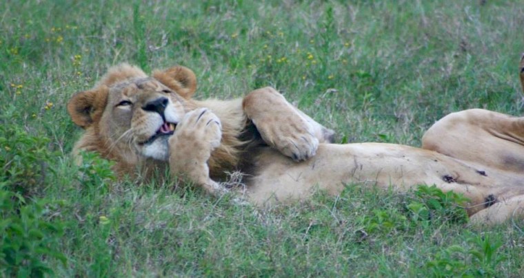 936125_10151709666911042_1247987303_n