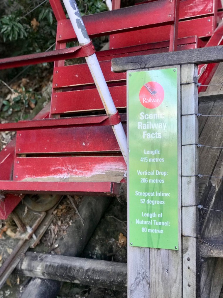 3411EEAC-5203-4172-B754-EB30D3880C42_1_105_c