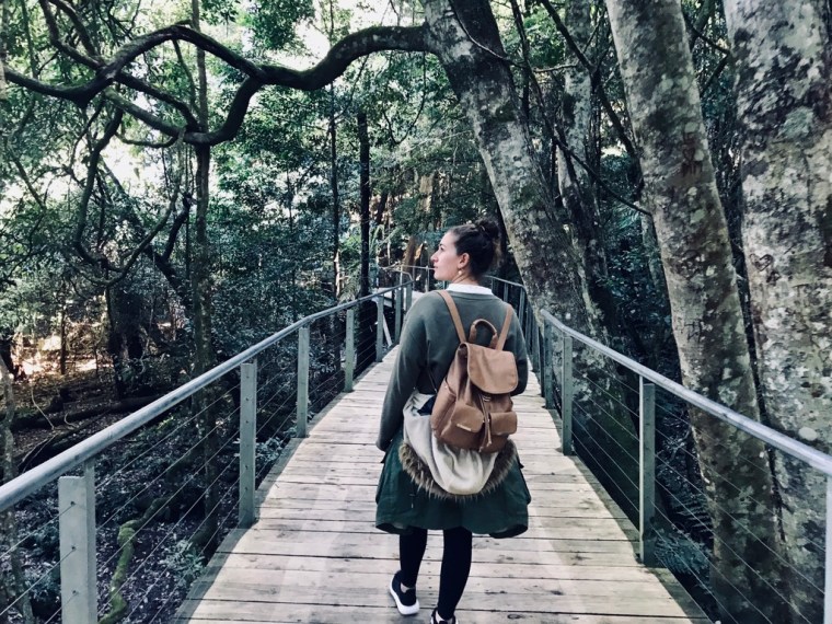 C9B62918-AFA7-4A1C-BB44-73781C086BEB_1_105_c