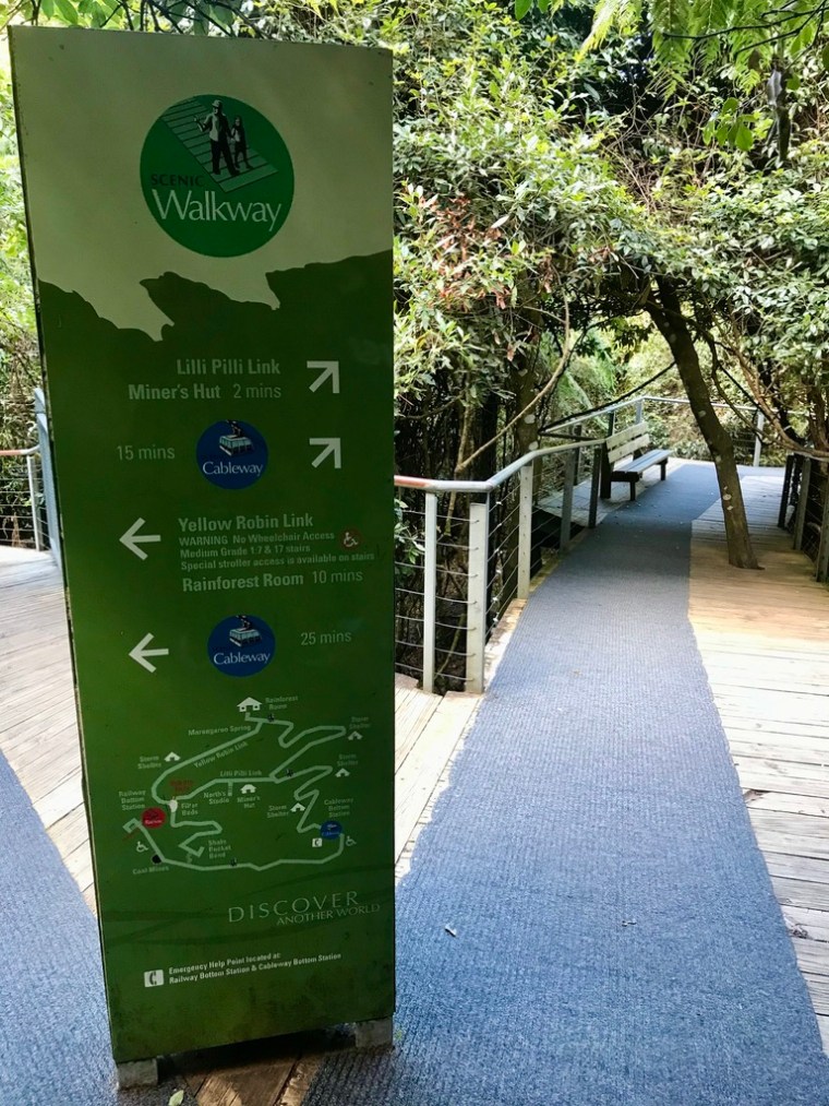 DEB773B9-BDFA-4215-B341-21A999F1E1EE_1_105_c